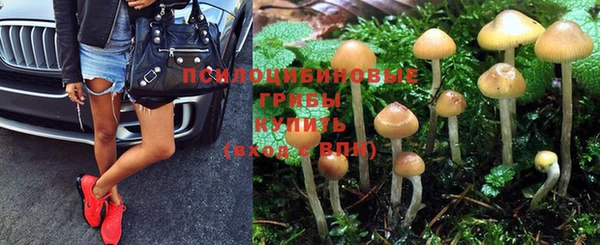 тгк Покачи