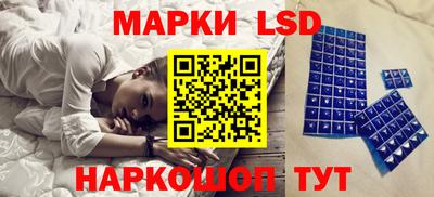 mdpv Гатчина
