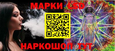 mdpv Гатчина