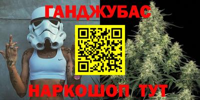 тгк Гай
