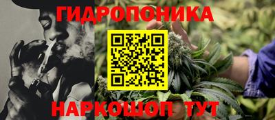 mdpv Гатчина