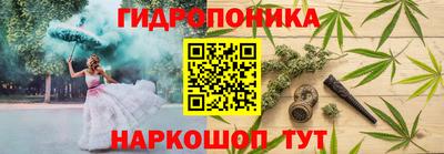 тгк Гай