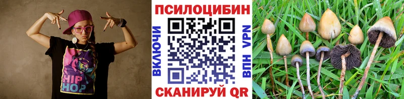 Псилоцибиновые грибы Psilocybine cubensis  Алатырь 