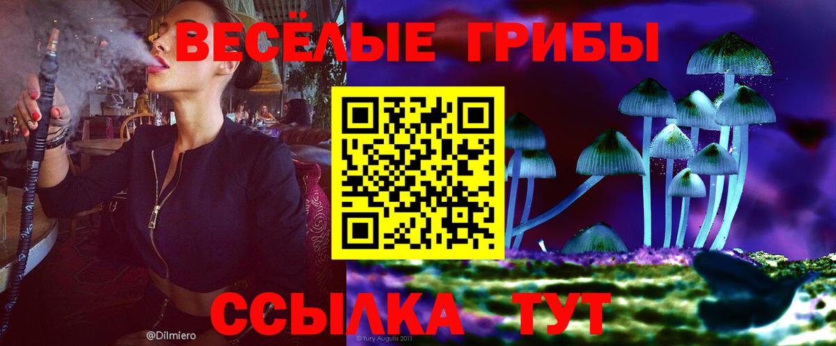 Псилоцибиновые грибы прущие грибы  Вход с VPN  Алатырь 
