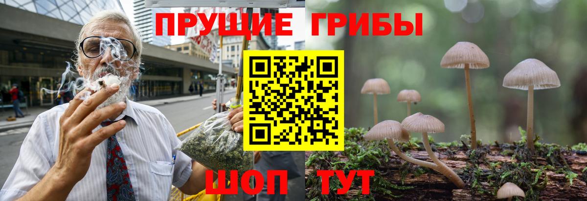 Галлюциногенные грибы Magic Shrooms Алатырь